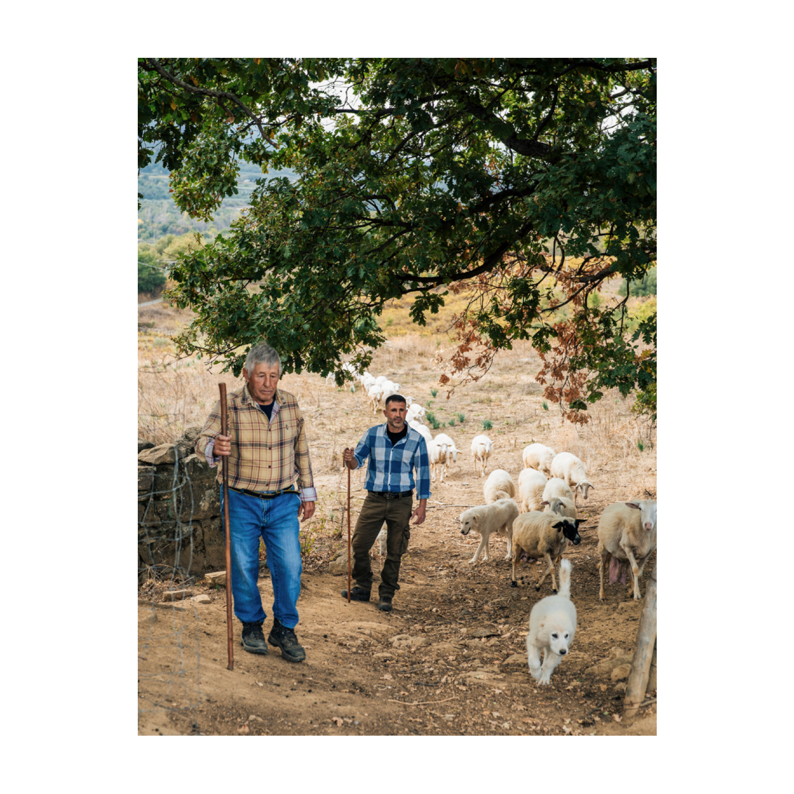 Vakantiespecial 2026! Sicilië • Ligurië • Valle d'Aosta • Borghi più belli - Afbeelding 3